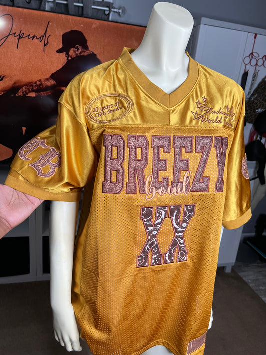 Custom embroidered jersey
